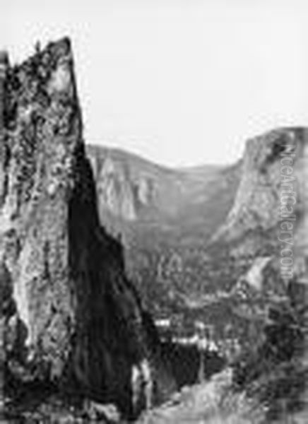 Down The Valley From Amon Point Oil Painting by Carleton E. Watkins