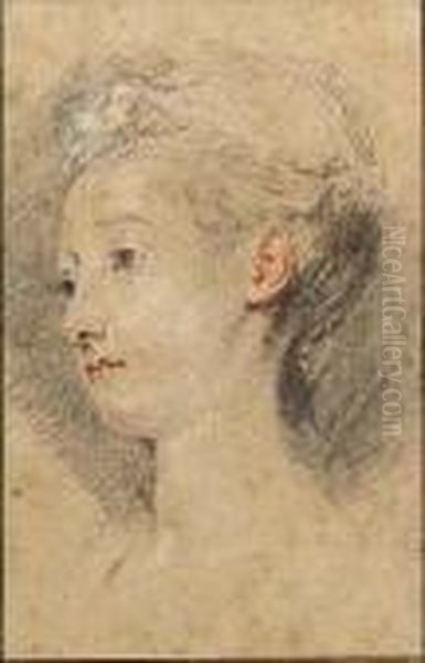 Head Of A Young Girl Oil Painting by Watteau, Jean Antoine