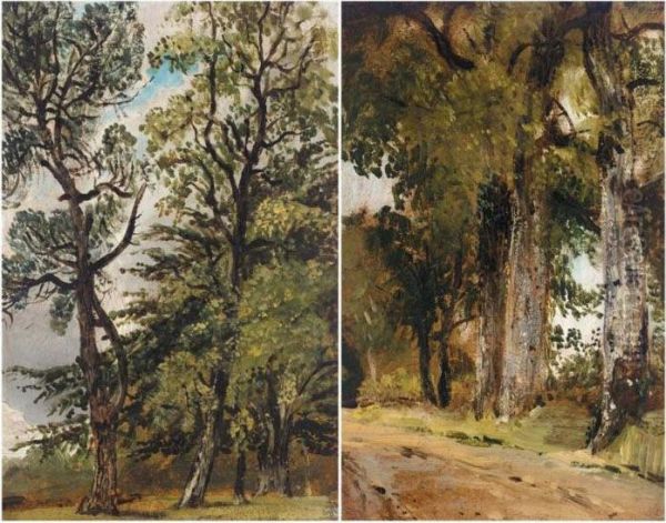 Studies Of Trees Oil Painting by Frederick Waters Watts