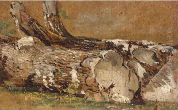 A Study Of Tree Trunks Oil Painting by Frederick Waters Watts