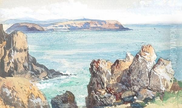 Caldy Island, Pembrokeshire 1869 Oil Painting by James Webb