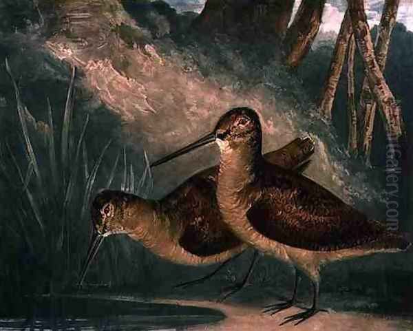 Woodcocks, plate 4 of British Feather Game, engraved by the artist, pub. by R. Ackermann, c.1810 Oil Painting by Charles Turner