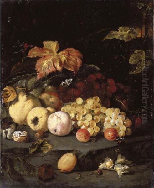 Still Life With Summer Fruits 
Including Apples, Grapes, A Peach, A Plum, Blackberries, Hazelnuts, 
Walnuts And Other Objects, All Arranged On A Stone Ledge Oil Painting by Jan Weenix