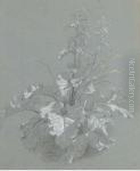 Study Of Wild Flowers Oil Painting by Jan Weenix