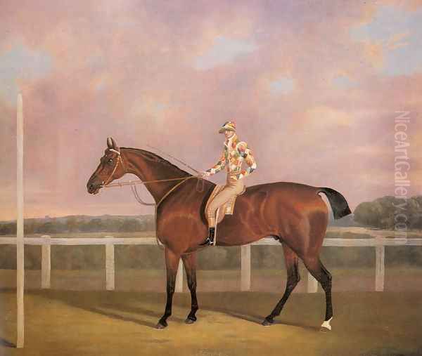 Memnon, a Chestnut Racehorse, with Jockey up Oil Painting by Clifton Tomson