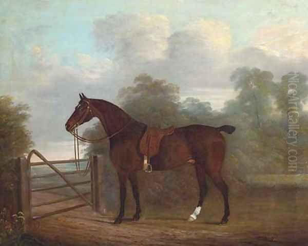 A saddled bay hunter tethered to a gate, in a wooded landscape Oil Painting by Clifton Tomson