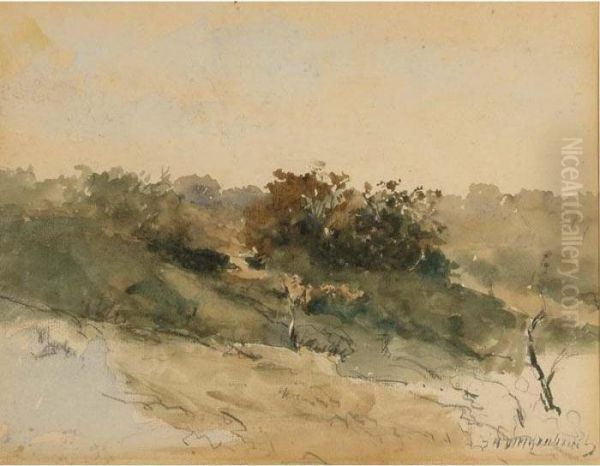 A Dune Landscape Oil Painting by Jan Hendrik Weissenbruch