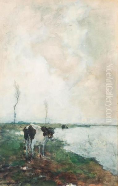 A Cow Standing By The Waterside In A Polder Oil Painting by Jan Hendrik Weissenbruch