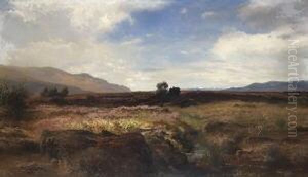 Oberbayerische
 Moorlandschaft Oil Painting by Joseph Wenglein