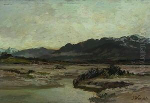 Isar - Landschaft Im
 Vorfruhling. Oil Painting by Joseph Wenglein