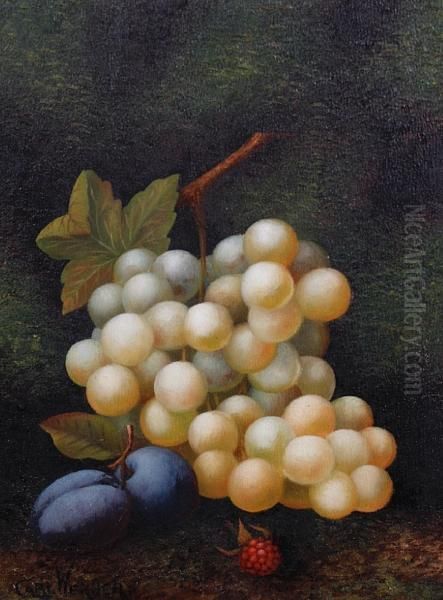 Still Lifes Of Fruit Oil Painting by Carl Friedrich H. Werner