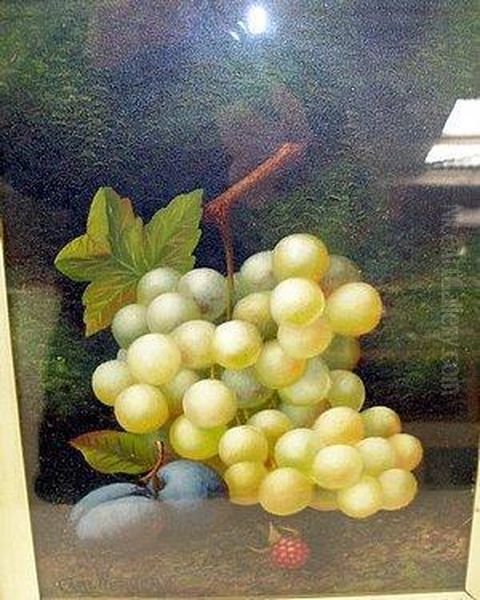 Still Life Study With Green Grapes And Plums Oil Painting by Carl Friedrich H. Werner