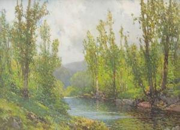 On The River, Near Okehampton Oil Painting by Frederick John Widgery