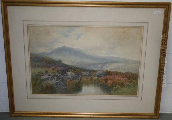 Extensive Moorland View Oil Painting by Frederick John Widgery