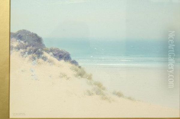 Coastal Scene, With Dunes And Gulls Oil Painting by Frederick John Widgery