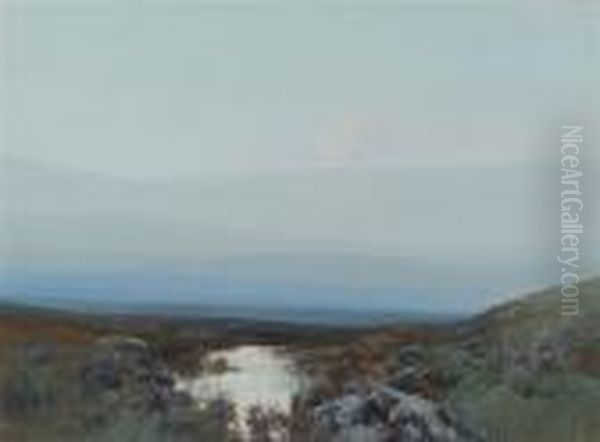 A Moorland Stream Oil Painting by Frederick John Widgery