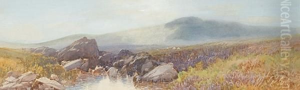 Dartmoor, Near Tavy Cleave Oil Painting by Frederick John Widgery