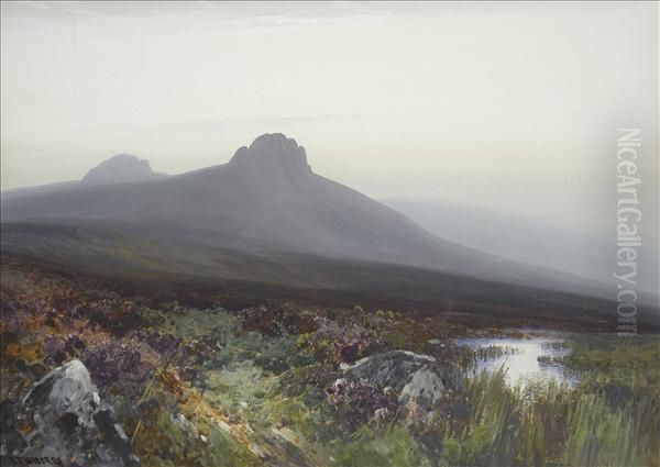 Earlymorning Mist, A Moorland Pool Oil Painting by Frederick John Widgery