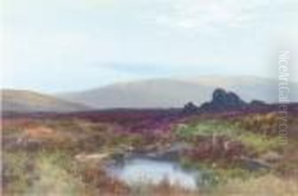 The Moors Near Teign Head, Dartmoor Oil Painting by Frederick John Widgery