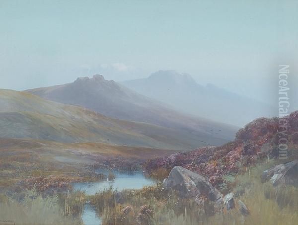 A Pond Beneath Dartmoor Tors Oil Painting by Frederick John Widgery