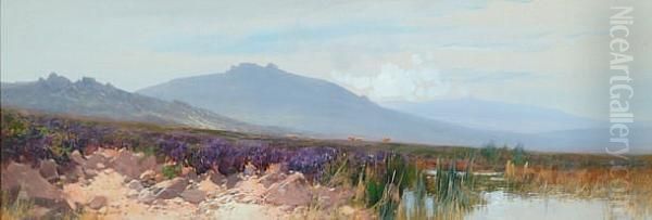 A View Of Dartmoor Tors From A Moorland Pond Oil Painting by Frederick John Widgery