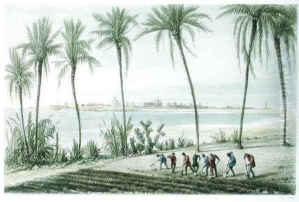 General View of Cadiz, engraved by John Pye 1782-1874 Oil Painting by J. Taylor