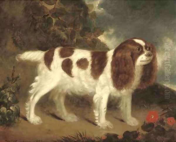 A King Charles Spaniel in a rocky landscape by Wilfred Thompson