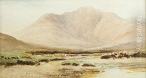 The Devils Mother From Lough Nafooey Strand Connemara Oil Painting by Alexander Williams