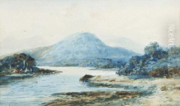 Glengarriff, Co. Cork Oil Painting by Alexander Williams