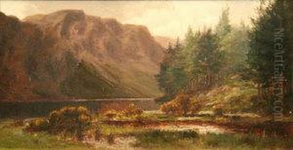 Lake At Killarney Oil Painting by Alexander Williams