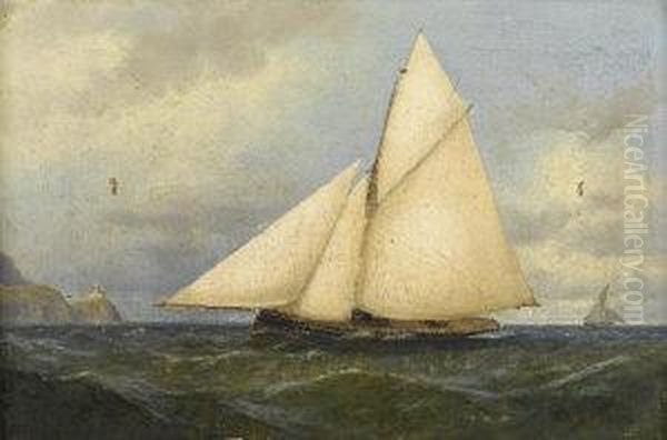 A Cutter Off The Baily Lighthouse, Howth Head Oil Painting by Alexander Williams