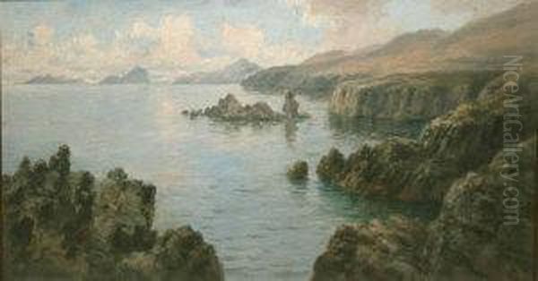 Northern Ireland Coastal View Oil Painting by Alexander Williams