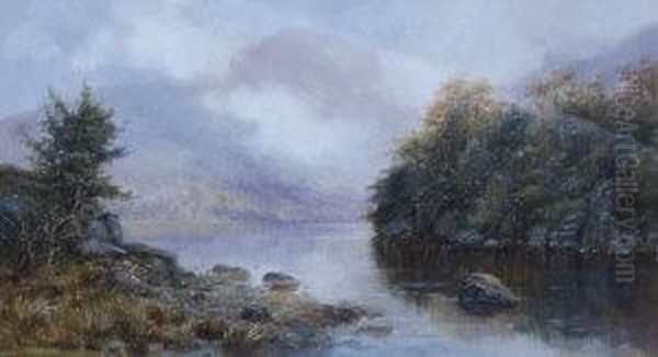 Beauties Home: Middle Lake, Killarney Oil Painting by Alexander Williams