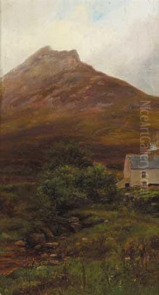 Donegal Farm, Magheradrummond, Fanad Peninsular, County Donegal Oil Painting by Alexander Williams