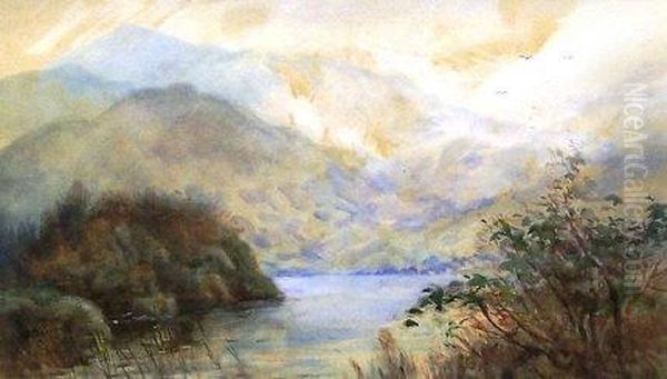 Titled Lower Left 'a Corner, Middle Lake, Killarney' Oil Painting by Alexander Williams