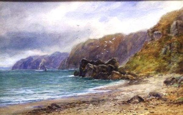 Candlestick Bay, Howth Oil Painting by Alexander Williams