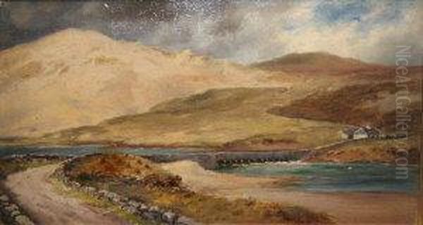 The Road To Horn Head Oil Painting by Alexander Williams