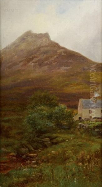 Donegal Mountain Farm Oil Painting by Alexander Williams