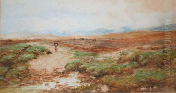 Road To A Bog, Achill Island Oil Painting by Alexander Williams