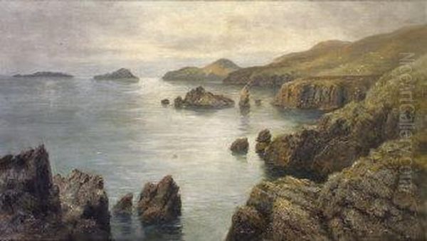 View Of The Blaskets From The Ring Of Kerry Oil Painting by Alexander Williams