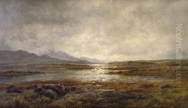 Extensive View At The Upper Lake. Killarney Oil Painting by Alexander Williams