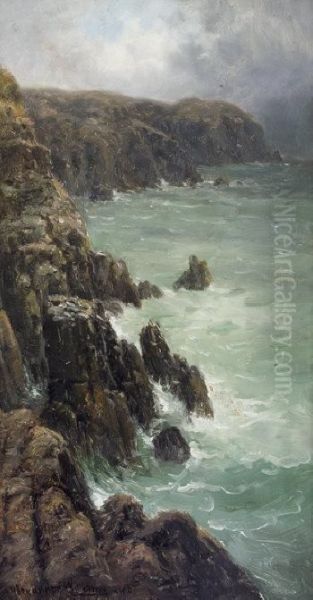 Sea-cliffs, Parkmore Point, Ventry, Dingle Oil Painting by Alexander Williams