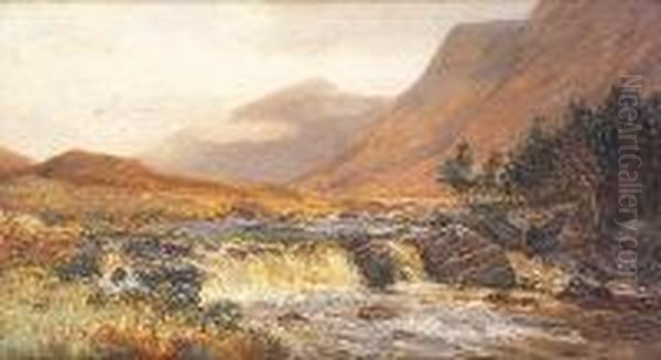 Asleagh Waterfall, Killary Bay, Connemara Oil Painting by Alexander Williams