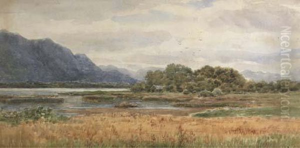 View From The Lake Hotel, Killarney Oil Painting by Alexander Williams