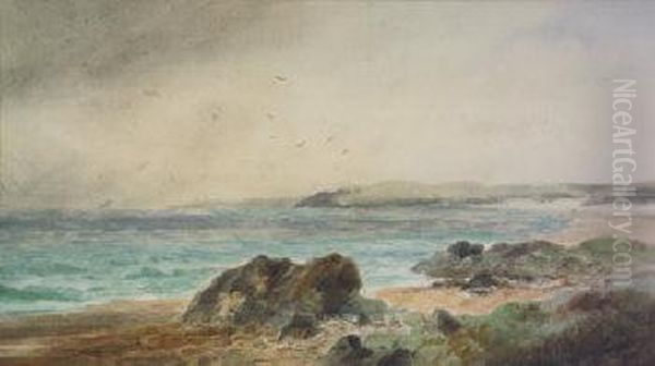 Coast Of Dublin Oil Painting by Alexander Williams