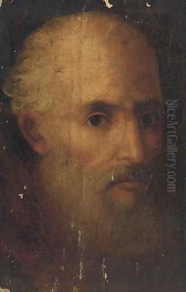 Head of a bearded man Oil Painting by Domenico Tintoretto