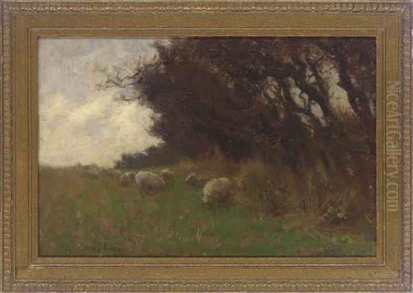 Sheep Grazing Beside A Wood Oil Painting by Terrick John Williams