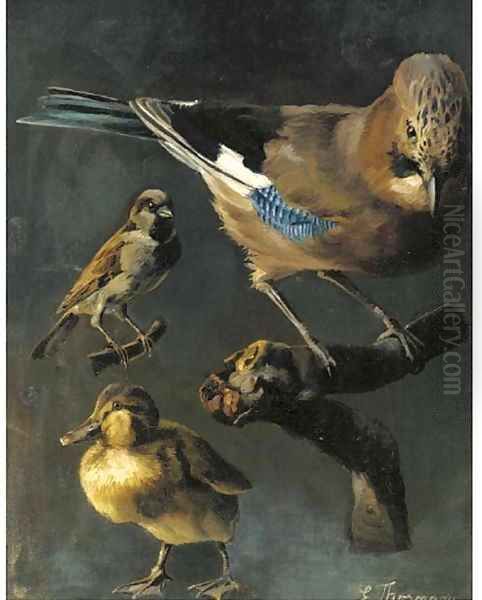 A jay, sparrow and duckling Oil Painting by Emmy Thorman