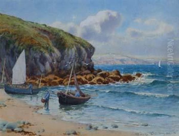 Wylfa Bay, Cemaes Bay,anglesey Oil Painting by Warren Williams