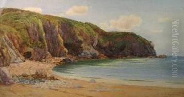 Coastal Scenes Oil Painting by Warren Williams